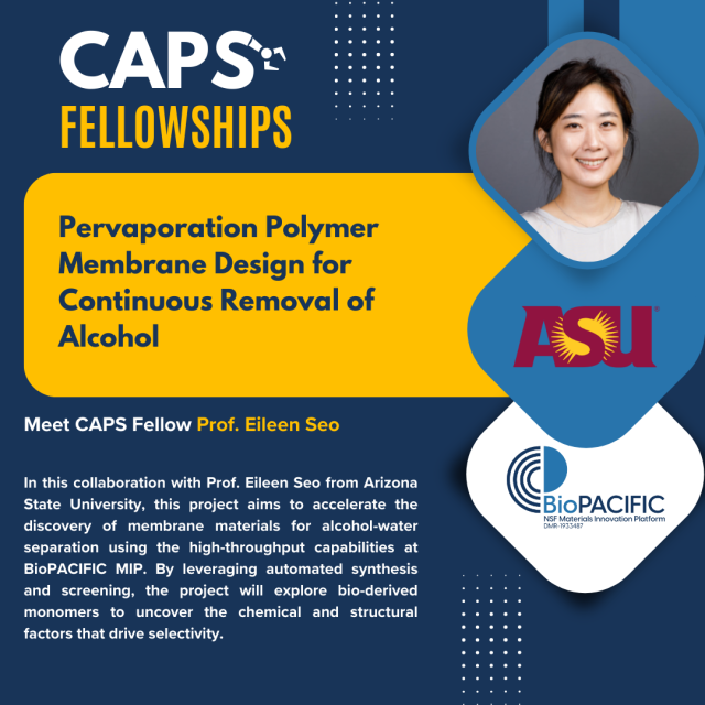 CAPS - Seo