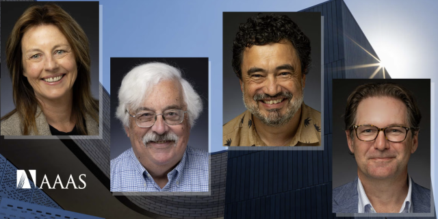 Shelly Gable, David Morrison, Javier Read de Alaniz, and Kelly Caylor