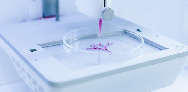 Cellink BioX 3D Bioprinter | NSF BioPACIFIC MIP (DMR-1933487)