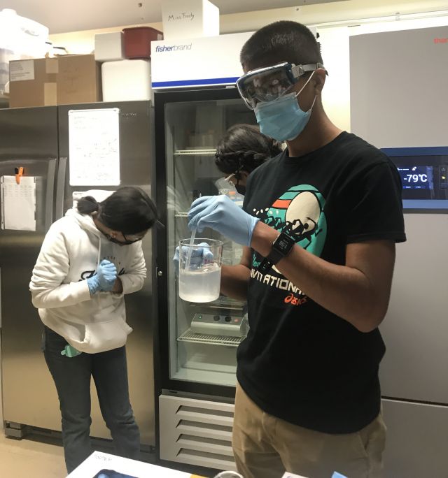 Hands-On Activities for SST Trainees