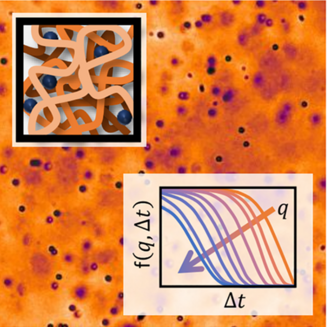 Generation of an intermediate scattering function via image capture of polystyrene beads imbedded in a polymer matrix.