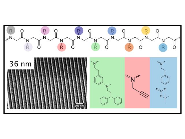 Project Schematic showing side chain variations