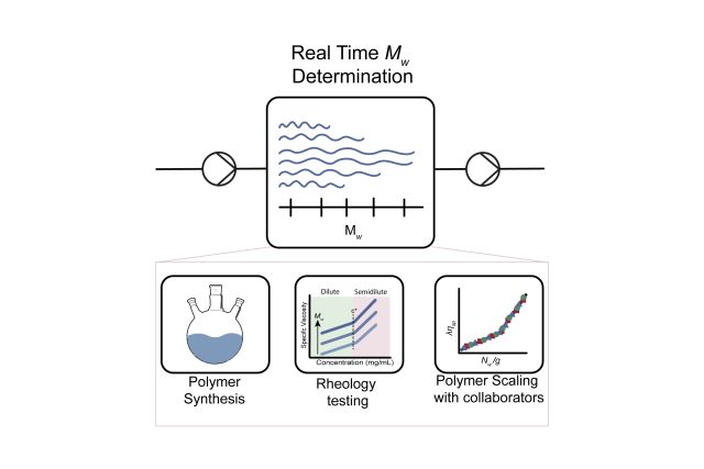Experimental schematic of Mw determination