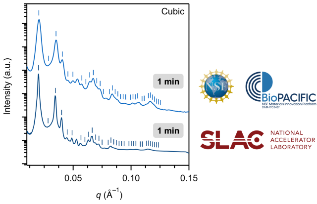 Comparison of SAXS data between BioPACIFIC MIP and SLAC