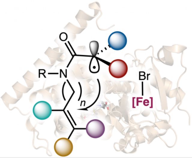 Experimental Schematic of Metalloprotein Catalysts