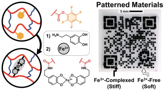 (Left) Cartoon overview of polymer network design via active ester chemistry to form networks with mixed iron-catechol and covalent crosslinking. (Right) Demonstration of high resolution patterned materials with specific hard (iron-complexed) and soft (iron-free) domains. The QR code is a link to the publication.