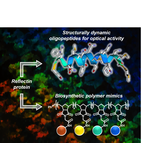 Process Schematic