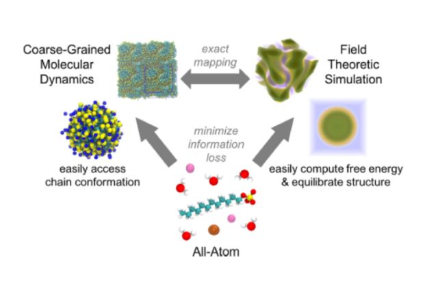 This study employs all-atom simulations to coarse-grained models using relative entropy minimization. These coarse-grained models, simulated with field-theoretic methods, enable rigorous equilibration and the study of properties difficult to access in particle-based simulations.