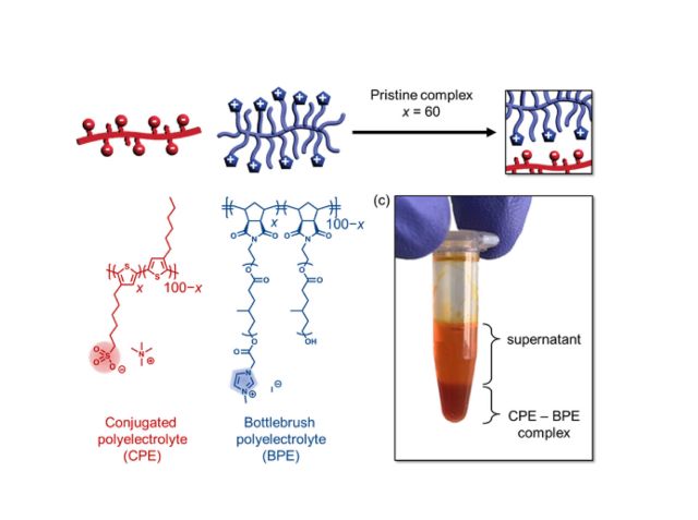 (a, b) Coacervation of a conjugated polyelectrolyte (CPE, red) and bottlebrush polyelectrolyte (BPE, blue), each with 60% charge fraction (x = 60), leads to an ionically crosslinked polymer complex. (c) Photograph of phase separation upon mixing CPE and BPE solutions, producing a concentrated coacervate (darker orange, bottom) in coexistence with polymer-deficient supernatant (lighter orange, top).
