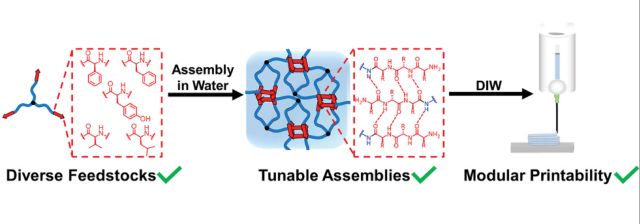 Modular design of 3-arm block copolypeptide enables tunable microstructure and properties based on amino acid selection.