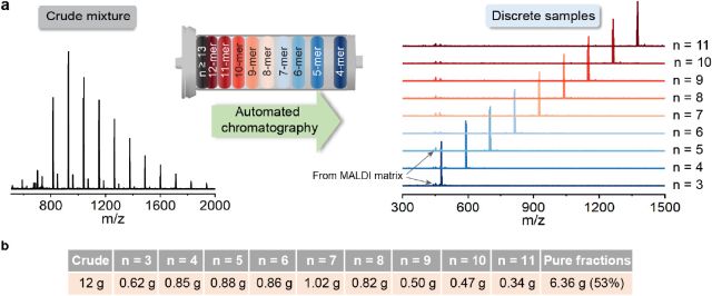 Separation of discrete alkyne containing oligomers. Automated chromatographic separation of oligomers from n = 3 to n = 11, and MALDI mass spectra of the discrete alkyne containing oligomers before and after separation.