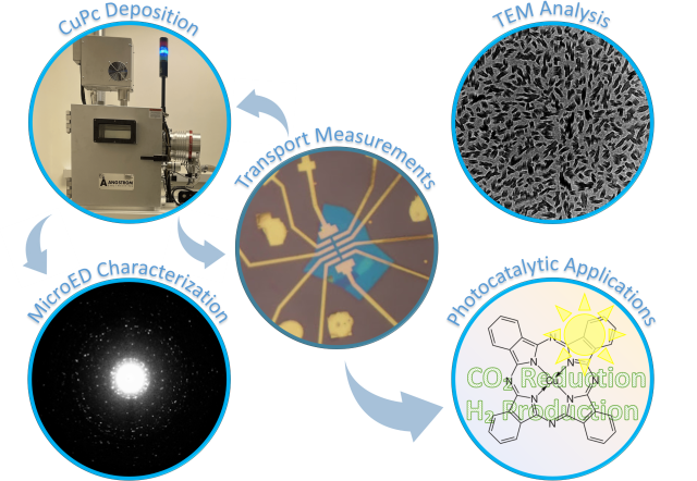Graphical Abstract