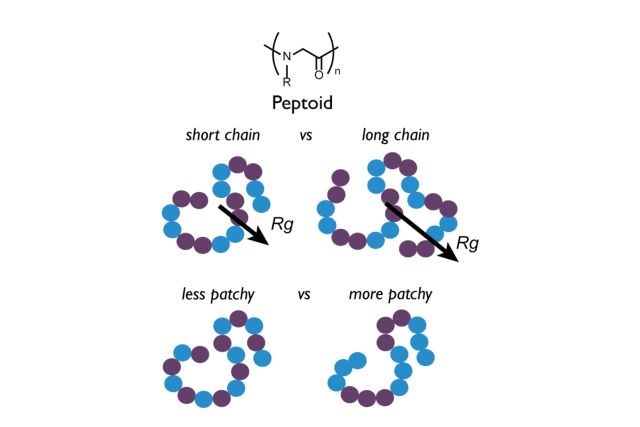 Graphical Abstract