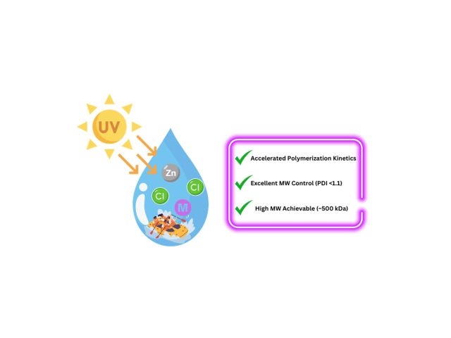 Graphical Abstract