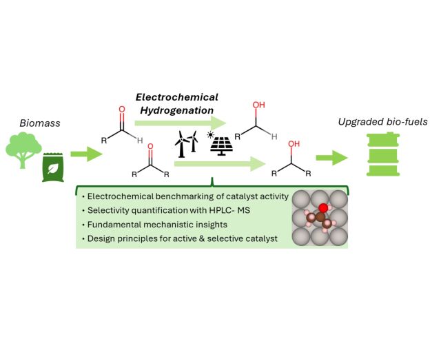 Graphical Abstract