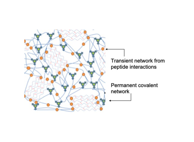 BPE084 Graphical Abstract