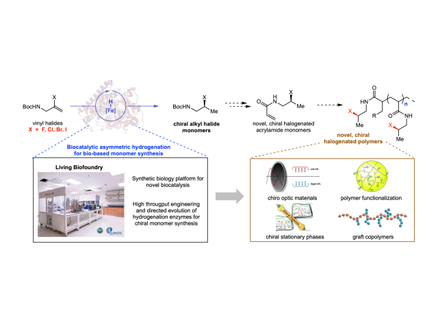BPL030 Graphical Abstract