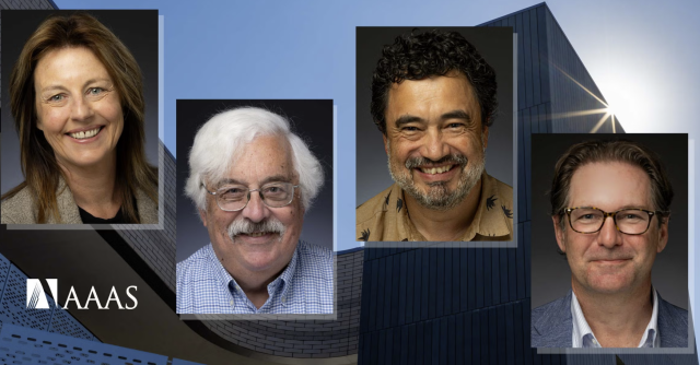 Shelly Gable, David Morrison, Javier Read de Alaniz, and Kelly Caylor