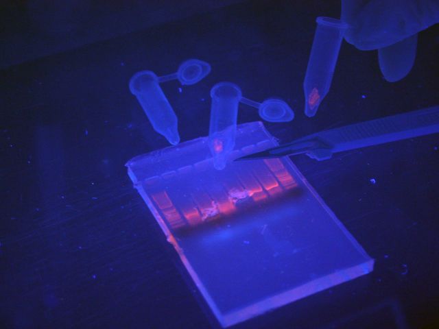 Biological Nanostructure Laboratory