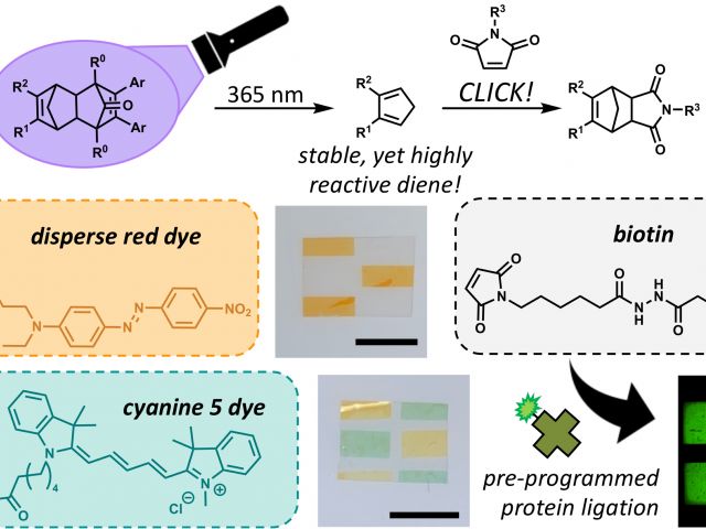 Schematic of light-induced deprotection