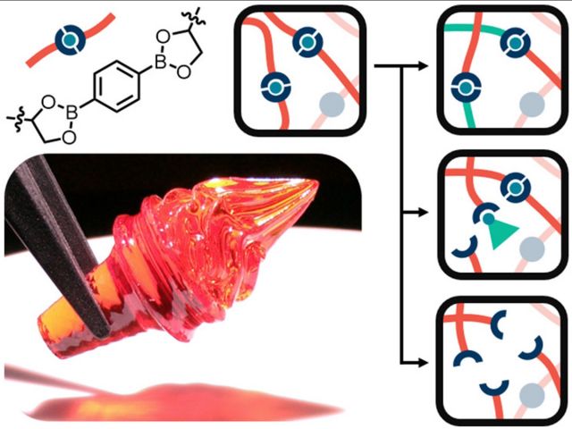 Figure of Polymer Networks