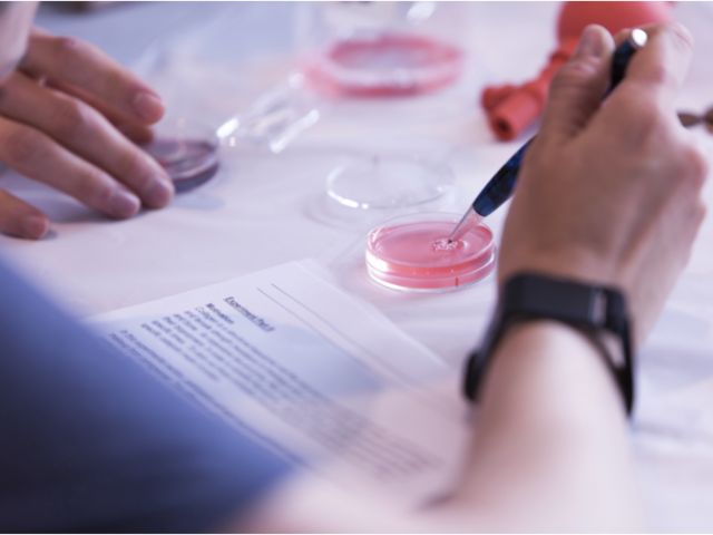 An example of the work done in the biopolymers workshop