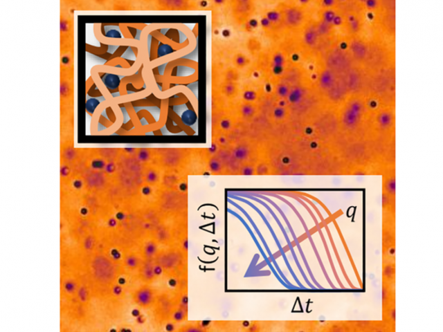 Illustration showing the generation of an intermediate scattering function