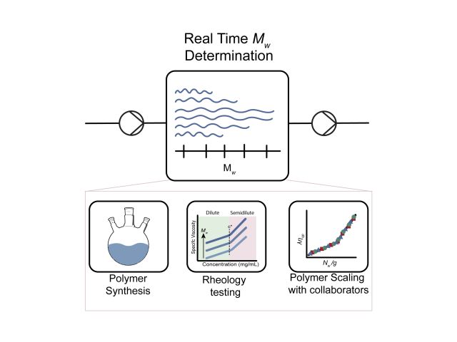 Experimental schematic of Mw determination