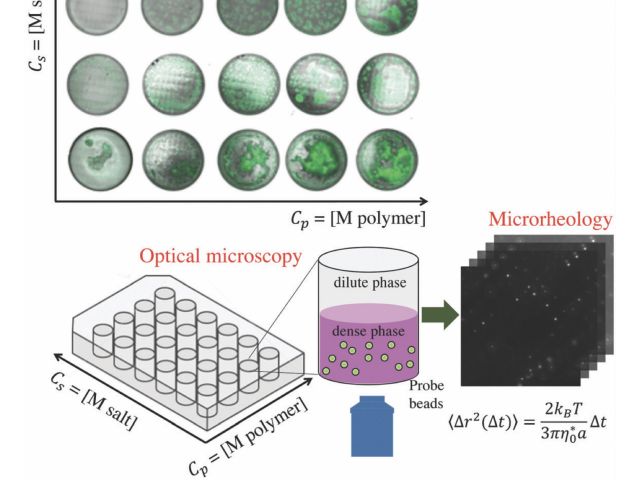 Experimental schematic