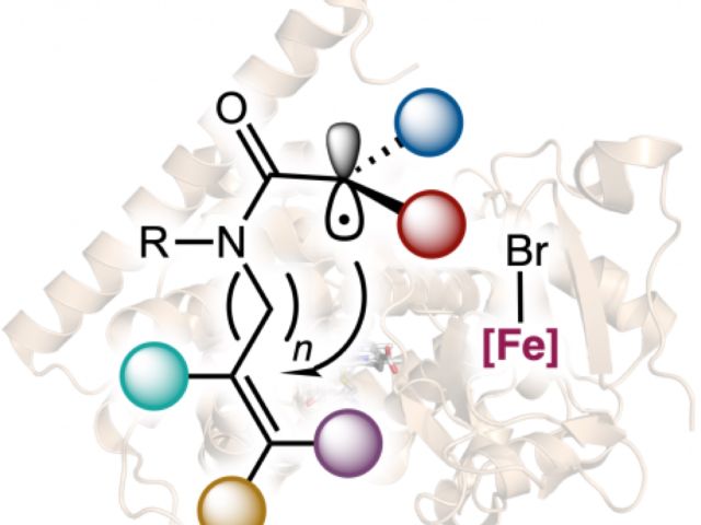 Experimental Schematic of Metalloprotein Catalysts