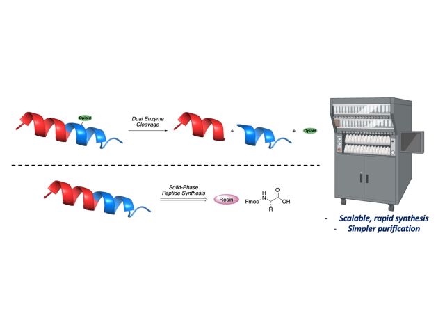 Experimental schematic