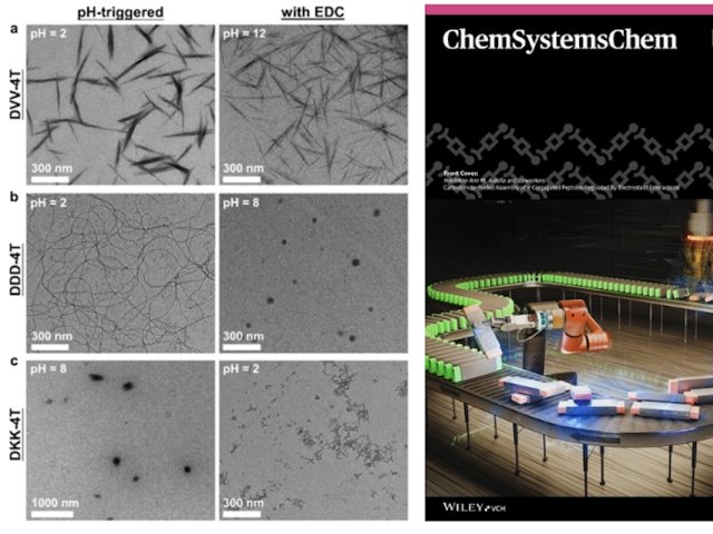 micrographs and journal cover