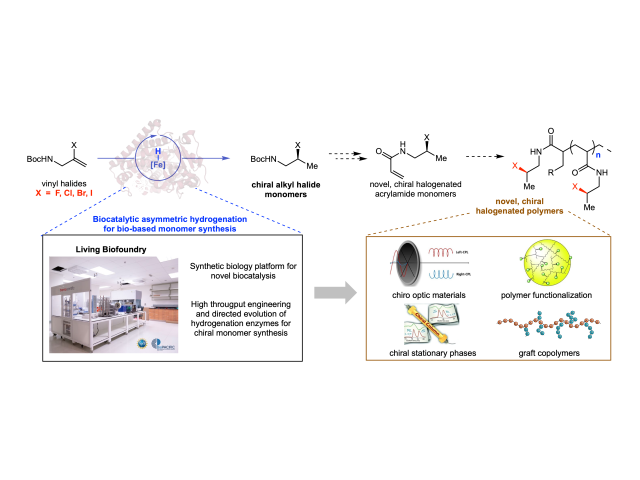 BPL030 Graphical Abstract